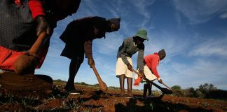 Zimbabwe Returns 67 Farms to Europeans Zimbabwe Returns 67 Farms to Europeans