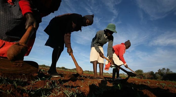 Zimbabwe Returns 67 Farms to Europeans Zimbabwe Returns 67 Farms to Europeans