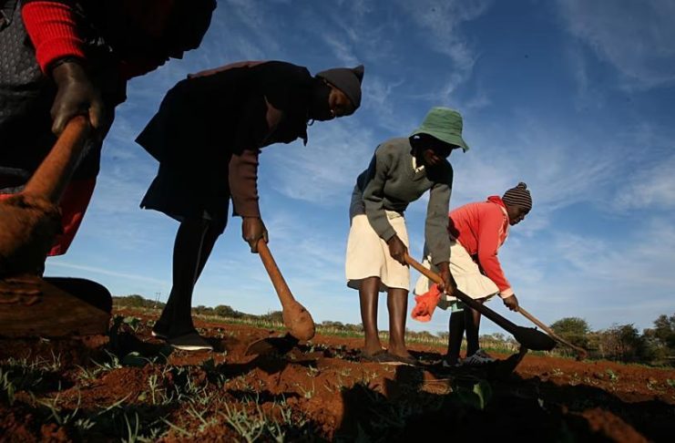 Zimbabwe Returns 67 Farms to Europeans Zimbabwe Returns 67 Farms to Europeans