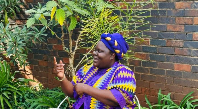 Veteran Opposition Activist Linda Masarira Dies Aged 43 Veteran Opposition Activist Linda Masarira Dies Aged 43