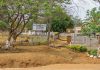 51 Learners Hospitalised After Bee Attack At Bulawayo School 51 Learners Hospitalised After Bee Attack At Bulawayo School