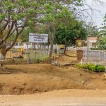 51 Learners Hospitalised After Bee Attack At Bulawayo School 51 Learners Hospitalised After Bee Attack At Bulawayo School
