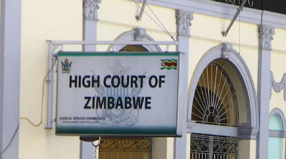 Judge Flees Bulawayo Courtroom As Hissing Stray Cat Stages “Hostile Takeover” Judge Flees Bulawayo Courtroom As Hissing Stray Cat Stages “Hostile Takeover”