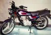 ZRP Arrests 530 Motorcyclists In “Register Motor-Bikes And Wear Helmets” Blitz ZRP Arrests 530 Motorcyclists In “Register Motor-Bikes And Wear Helmets” Blitz