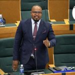 CAB3 Puts Individuals Over Institutions, Warns CCC MP Gumbo CAB3 Puts Individuals Over Institutions, Warns CCC MP Gumbo