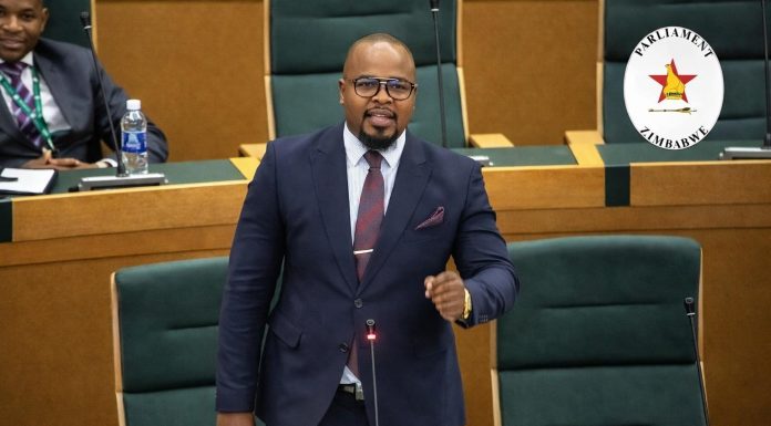 CAB3 Puts Individuals Over Institutions, Warns CCC MP Gumbo CAB3 Puts Individuals Over Institutions, Warns CCC MP Gumbo