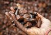 Manhize can forge Zimbabwe’s industrial future Manhize can forge Zimbabwe’s industrial future