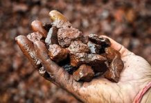 Manhize can forge Zimbabwe’s industrial future Manhize can forge Zimbabwe’s industrial future