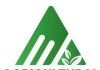 Grain levy powers irrigation revival Grain levy powers irrigation revival